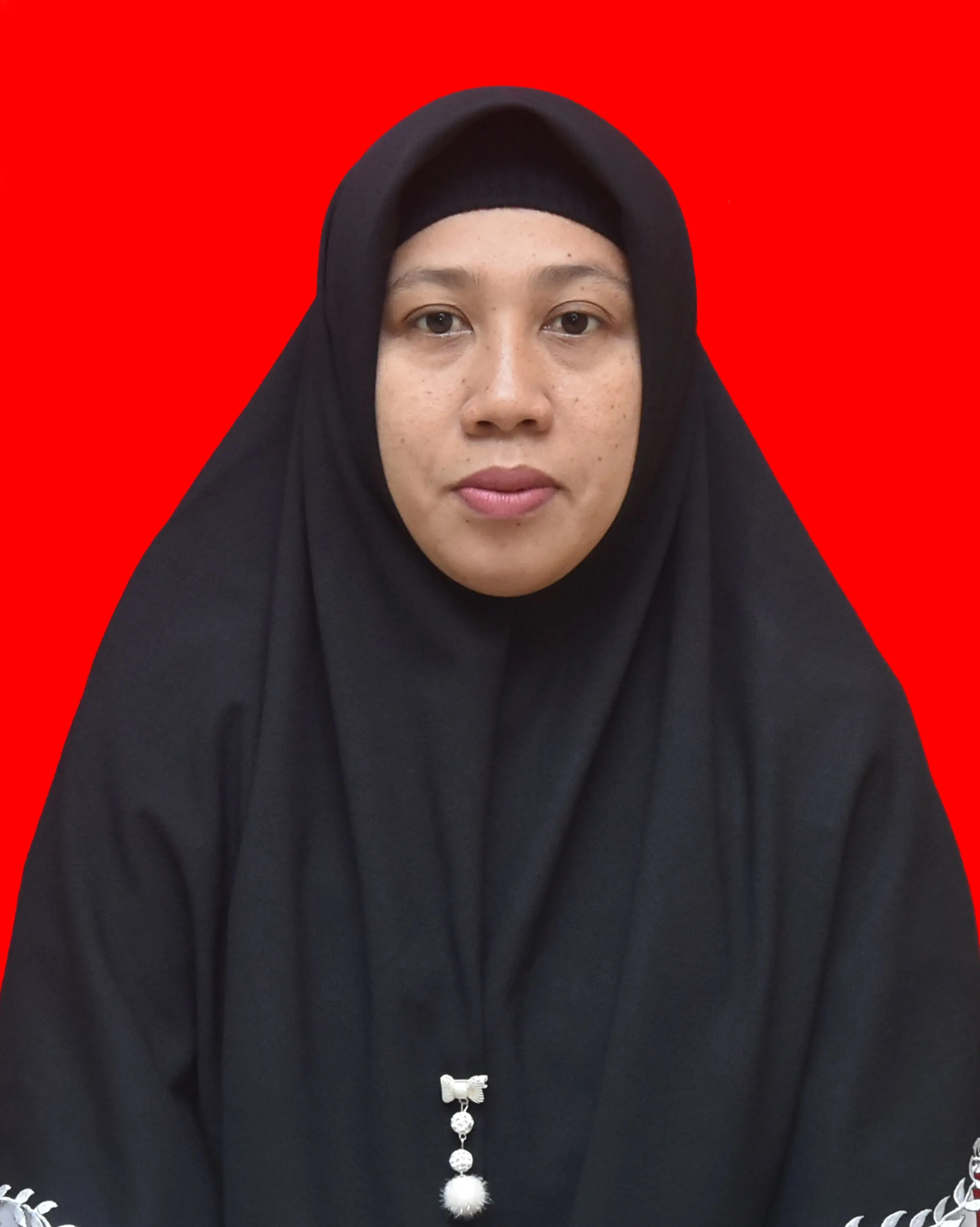  Ana Safitri, S.Pd.